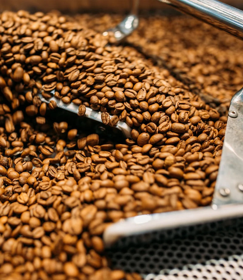 Premium coffee beans